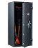 Оружейный сейф TIGER 70 купить в Казани