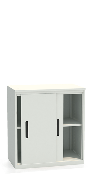 Шкаф-купе архивный ALS-8896 купить в Казани