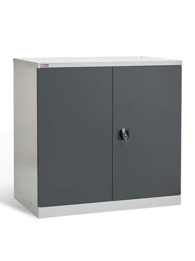 Шкаф инструментальный ДиКом ВЛ-051 (7038/7016) купить в Казани